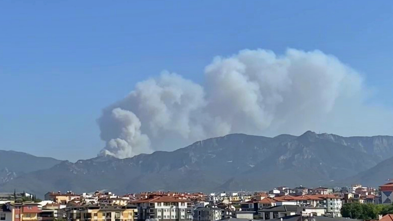 Denizli'nin Tavas ilçesinde orman yangını başladı!