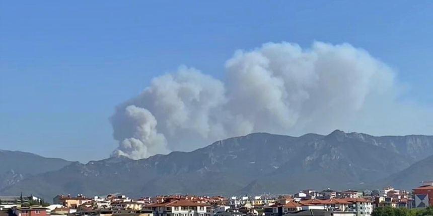 Denizli'nin Tavas ilçesinde orman yangını başladı!