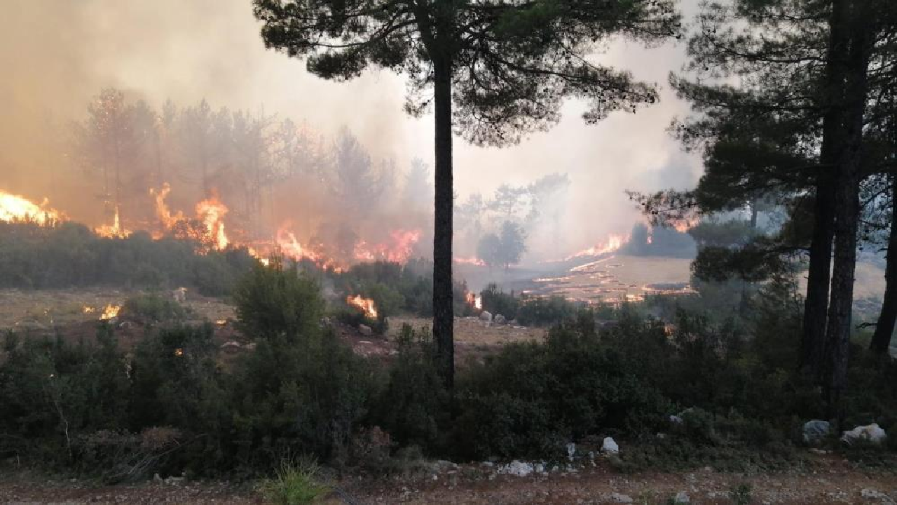 Seydikemer yangını tekrar başladı