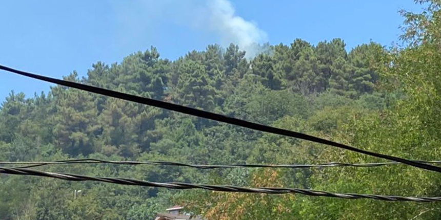 İstanbul'da orman yangını: Soruşturma başlatıldı!