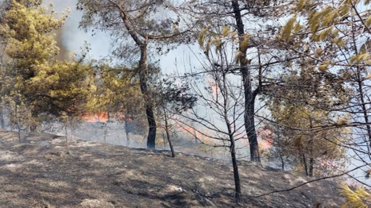5 ilimizde alevlerle mücadele sürerken bir yangın haberi de Hatay'dan geldi!