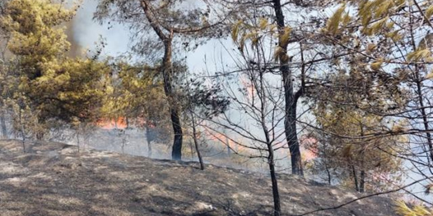 5 ilimizde alevlerle mücadele sürerken bir yangın haberi de Hatay'dan geldi!