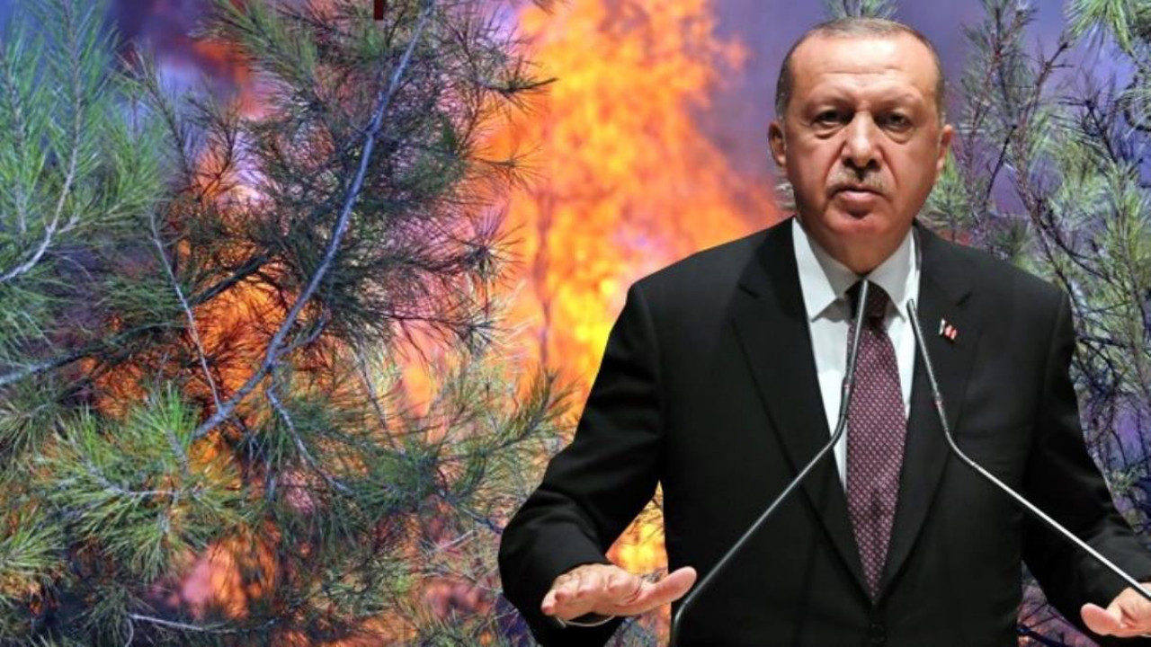 'Help Turkey' kampanyası Batı medyasının dilinde: Erdoğan'ın itibarı kül oldu!