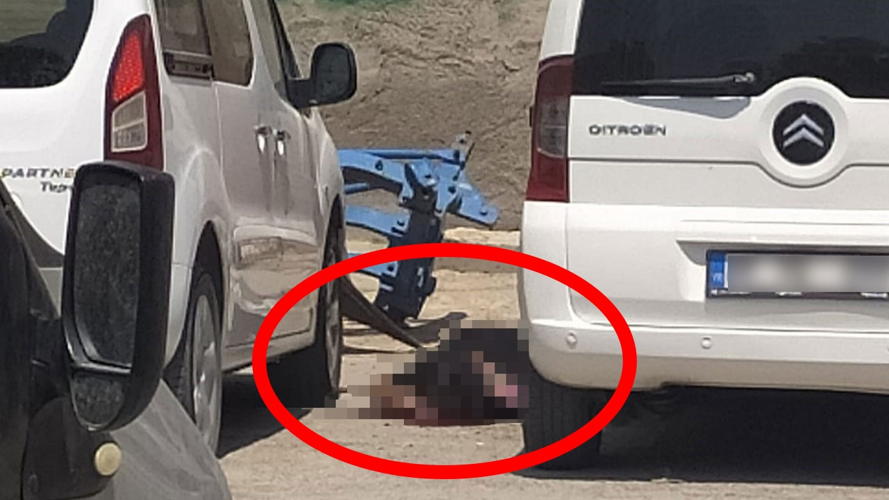 Mardin Nusaybin'de üzerinde 2.5 kilo patlayıcı bulunan canlı bomba öldürüldü!