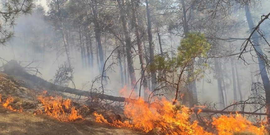 Kaş'ta orman yangını çıktı! 2 saatte söndürüldü