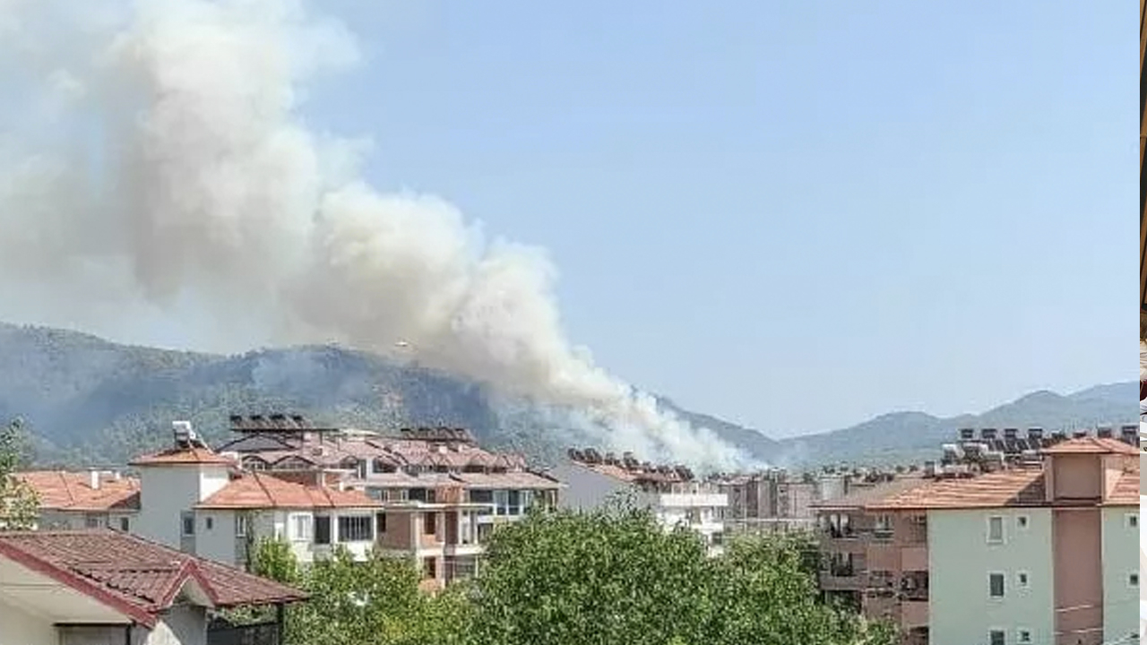 Bir orman yangını daha çıktı: Karadan ve havadan müdahale başladı