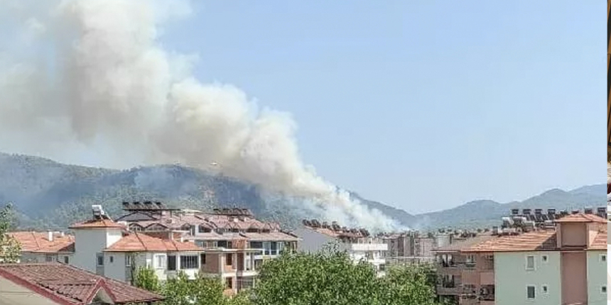 Bir orman yangını daha çıktı: Karadan ve havadan müdahale başladı