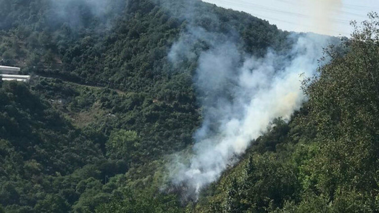 İstanbul'da orman yangını paniği: Çok sayıda itfaiye olay yerinde!