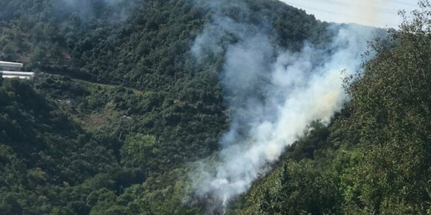 İstanbul'da orman yangını paniği: Çok sayıda itfaiye olay yerinde!