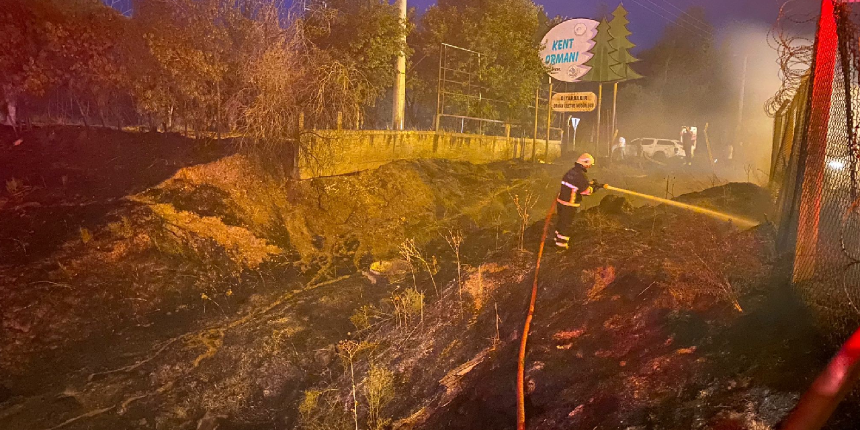 Diyarbakır’da ormanı ateşe veren 3 kişi yakalandı, 1 kişi kaçtı