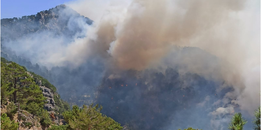 Antalya'daki yangın soruşturmasında 1 kişi tutuklandı