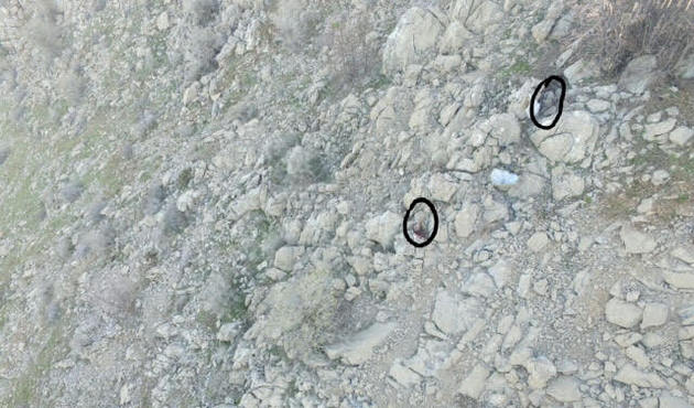 Örgüte büyük darbe... Hakkari'de 121 terörist etkisiz hale getirildi...