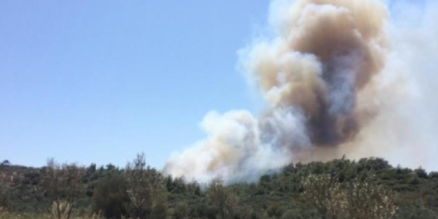 Çanakkale ve Antalya'daki orman yangınları kontrol altında