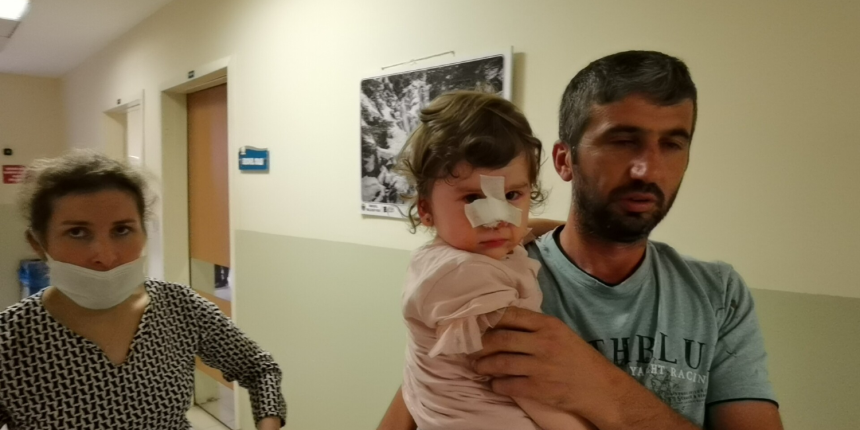 2 yaşındaki çocuğa köpek saldırdı! Babası zor kurtardı