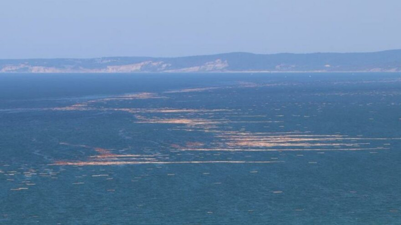 Karadeniz'de felaket sonrası korkunç görüntü: Tomruk adacıkları oluştu!