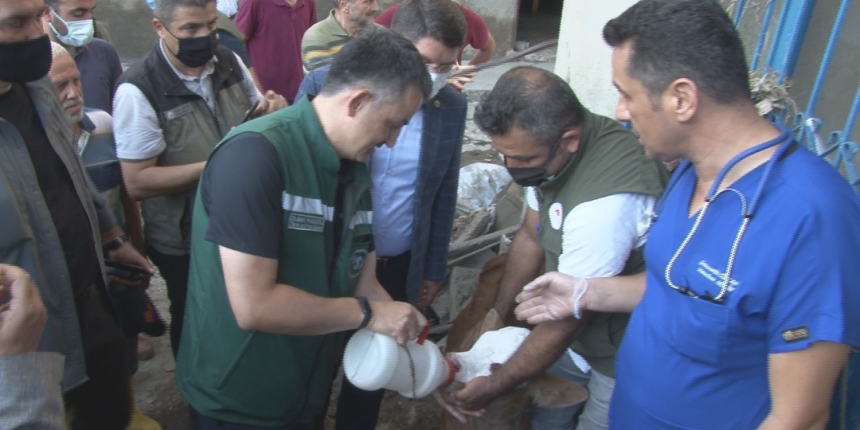 Sahibinin selden kurtardığı buzağıyı Bakan Pakdemirli elleriyle besledi
