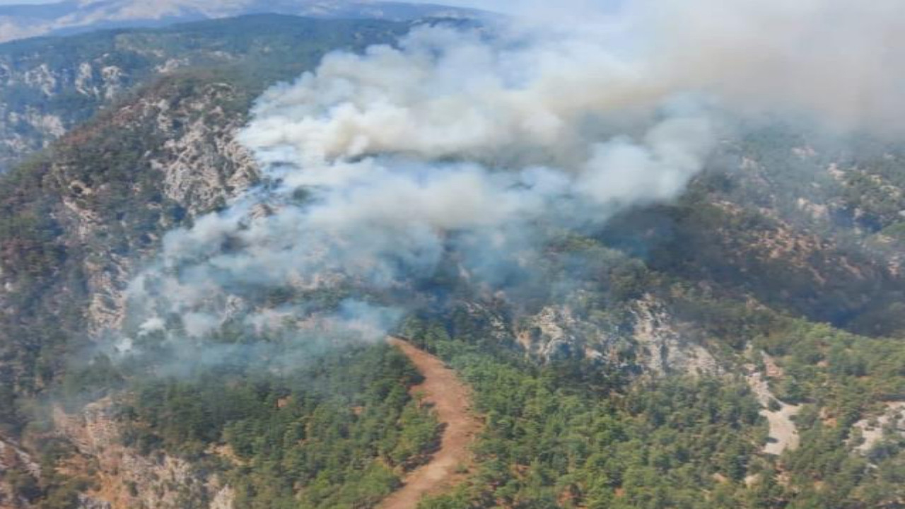 Muğla'da korkutan orman yangını: Ekipler müdahale ediyor!