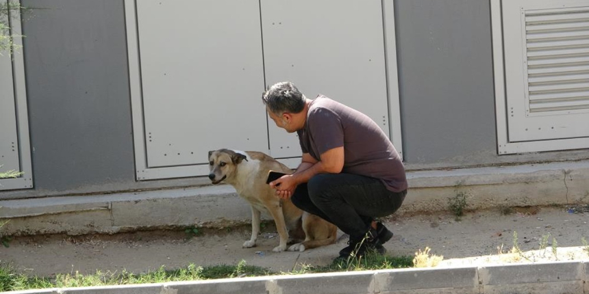 Türkiye, sokak köpeğine sahip çıkan '16 numara' Özay Kaya’yı konuşuyor!