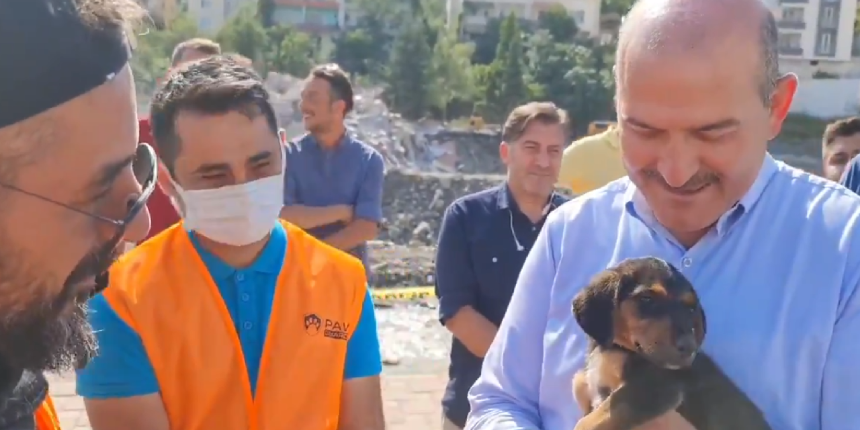 Annesi yol gösterdi, ekipler yavru köpeği buldu! İsmini Bakan Soylu koydu