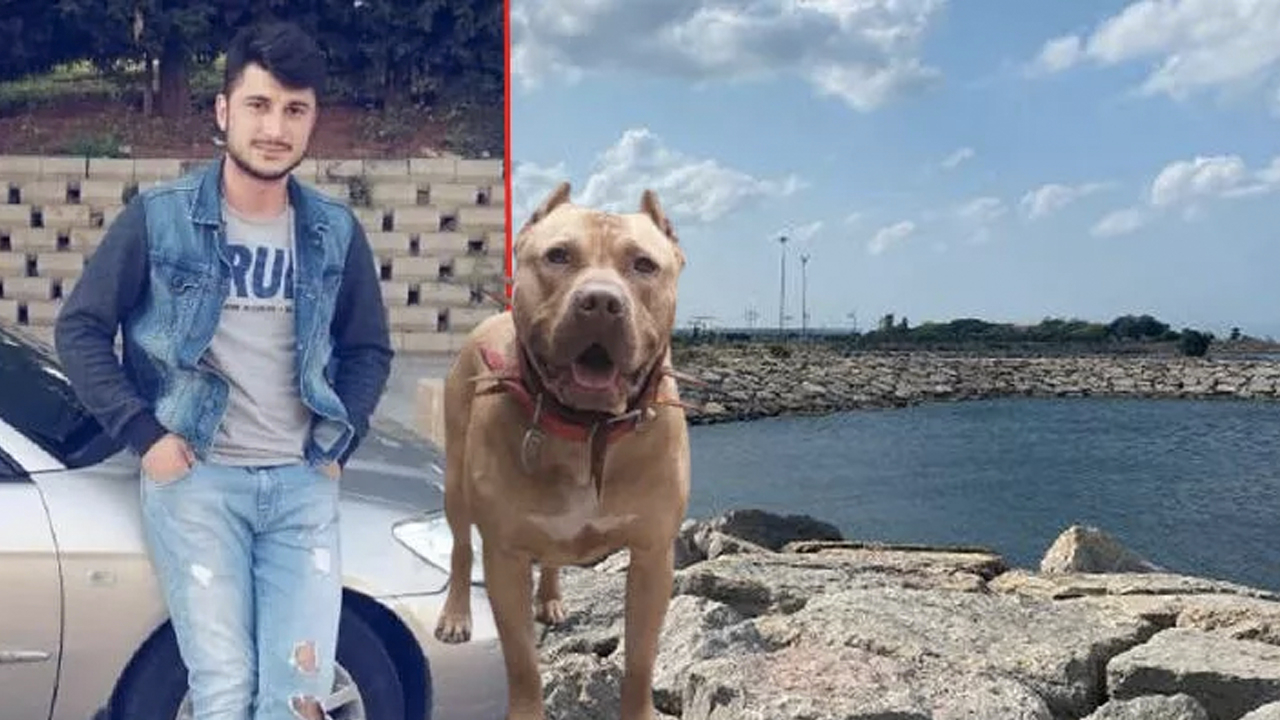 Sahibi 'Şaka yapıyor' diyerek bıraktı, bir kişi hayatını kaybetti: Köpeği alıp hemen uzaklaştı