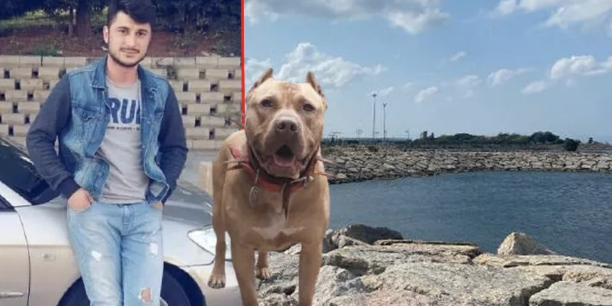 Sahibi 'Şaka yapıyor' diyerek bıraktı, bir kişi hayatını kaybetti: Köpeği alıp hemen uzaklaştı