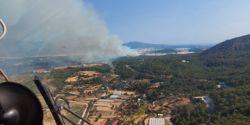 Muğla ve Aydın'daki orman yangınları kontrol altında