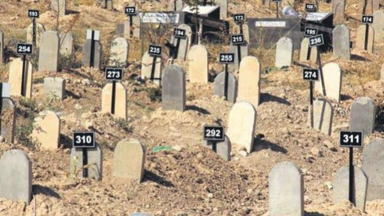 261 terör örgütü üyesinin cesedi Bitlis'te bulundu