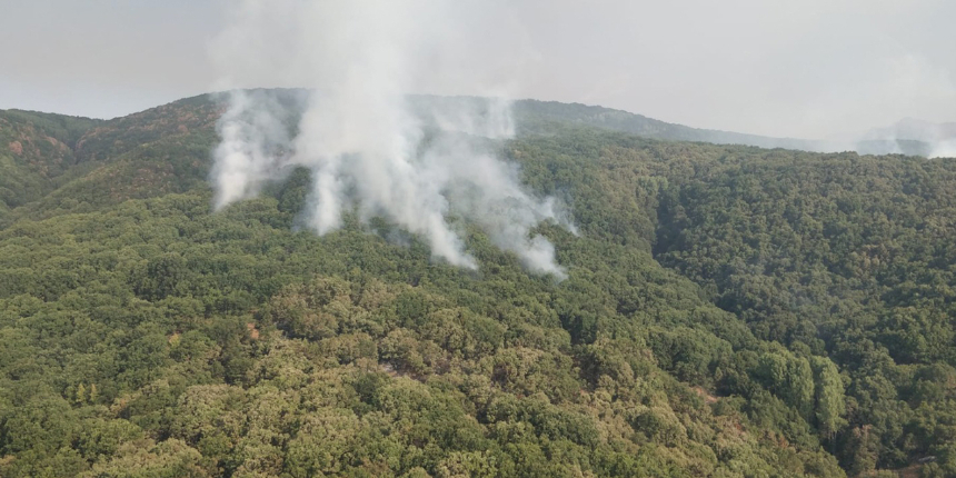 Tunceli'deki orman yangınına müdahale sürüyor: Tek bölgede devam ediyor