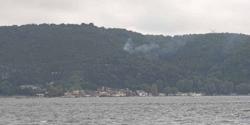 İstanbul'da orman yangını: Helikopterler müdahale etti