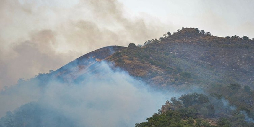 İşte Tunceli ve Bingöl'deki yangınlarda son durum