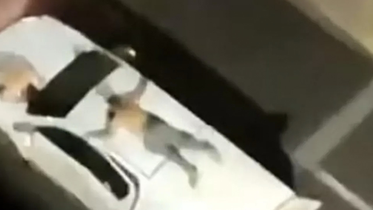 Böyle soygun görülmedi: Canlı kalkan olarak kullandıkları rehineyi aracın üstüne bağladılar