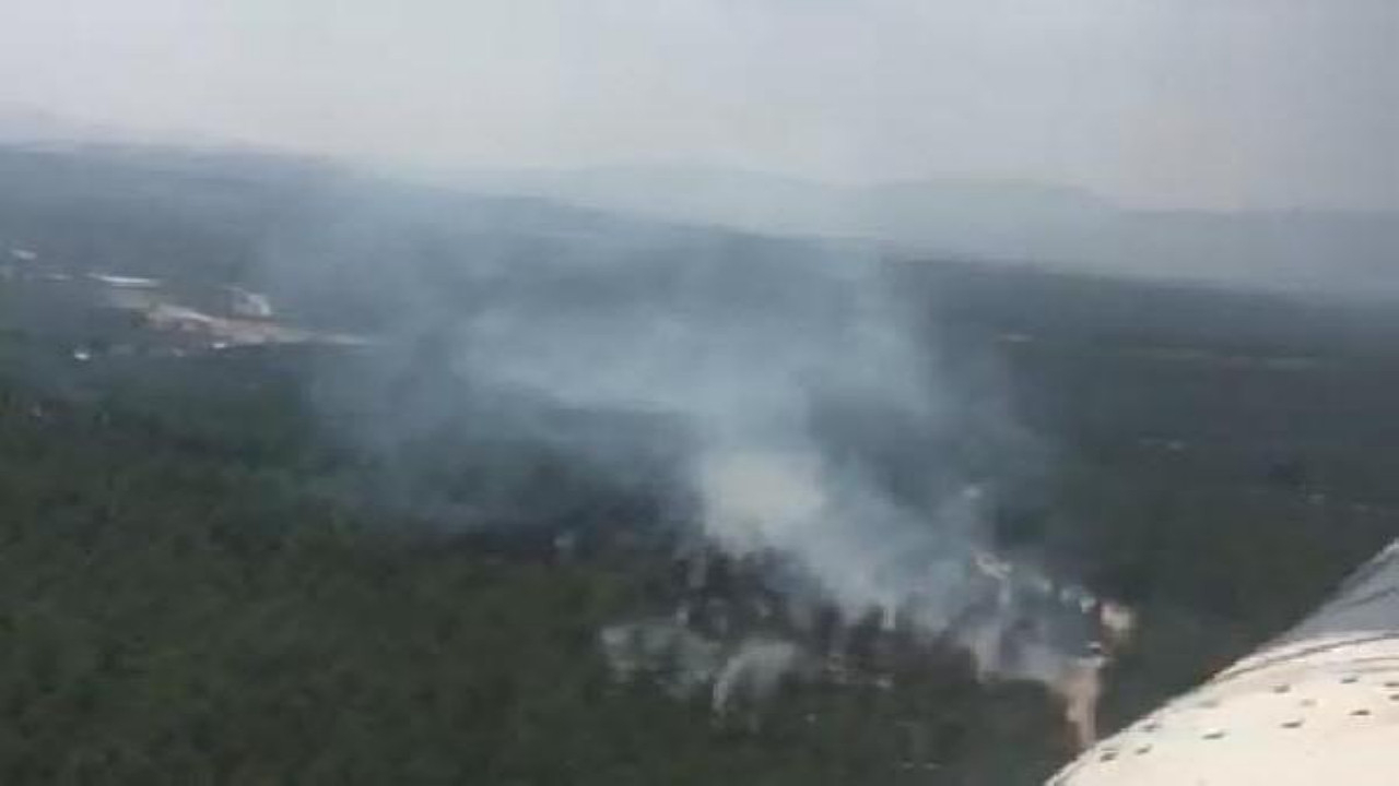 Manisa'da korkutan orman yangını! Alevler kısa sürede yayıldı...