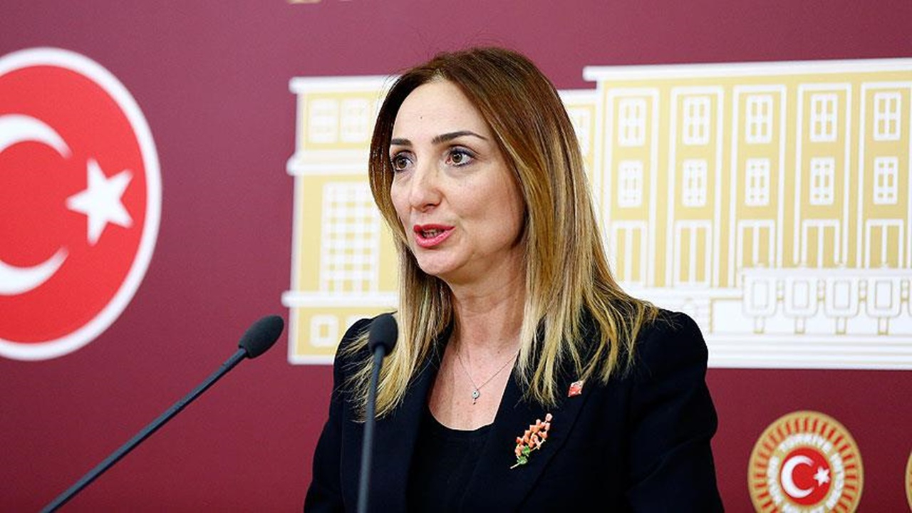 Aylin Nazlıaka’yı kendi partilisi bile yalanladı!