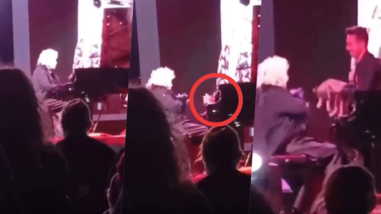 Gülsin Onay konserinde kedi sürprizi