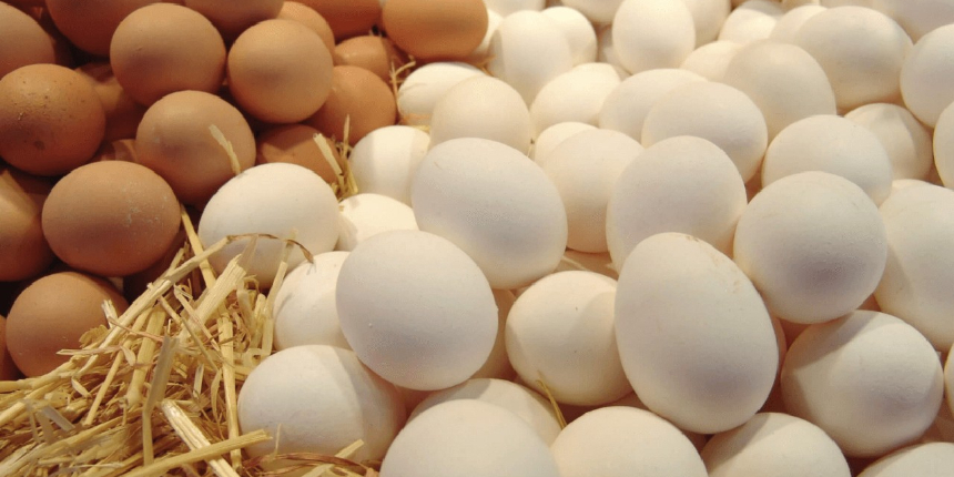 Yumurta fiyatları uçuyor! Nedeni belli oldu