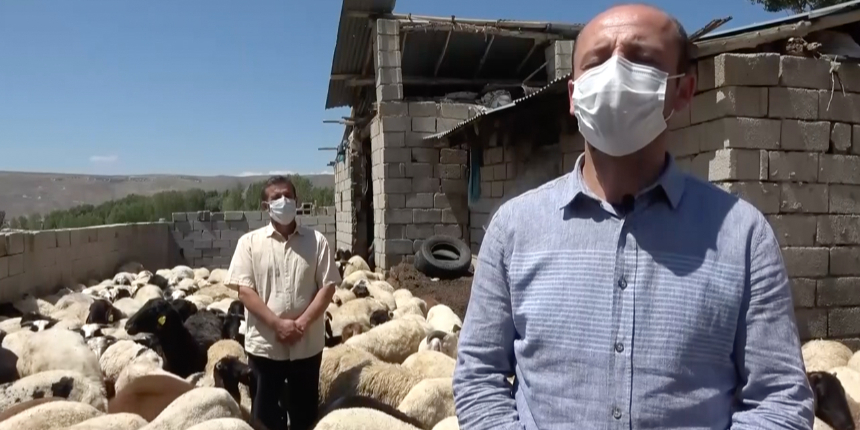 Van'da devletin sürü desteği "tersine göç"ü başlattı