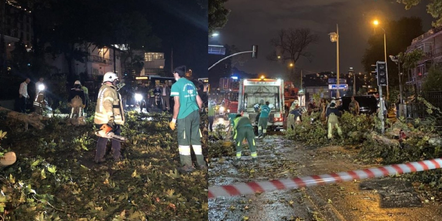 Sarıyer'de şiddetli yağış ve rüzgar nedeniyle ağaçlar yola devrildi
