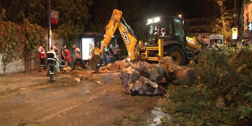 Beykoz’da devrilen ağaçtan son anda kurtuldular, o anlar kameraya yansıdı