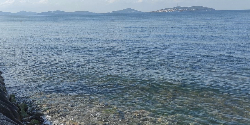 Marmara'da yeni tehlike oksijen azlığı: Durum haziran ayından daha ciddi
