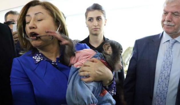 Başkan Fatma Şahin'in zor anları!
