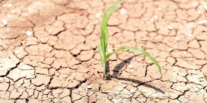 Meteoroloji'nin analizi ile ortaya çıktı: Ağustos ayı 'şiddetli kurak' geçti