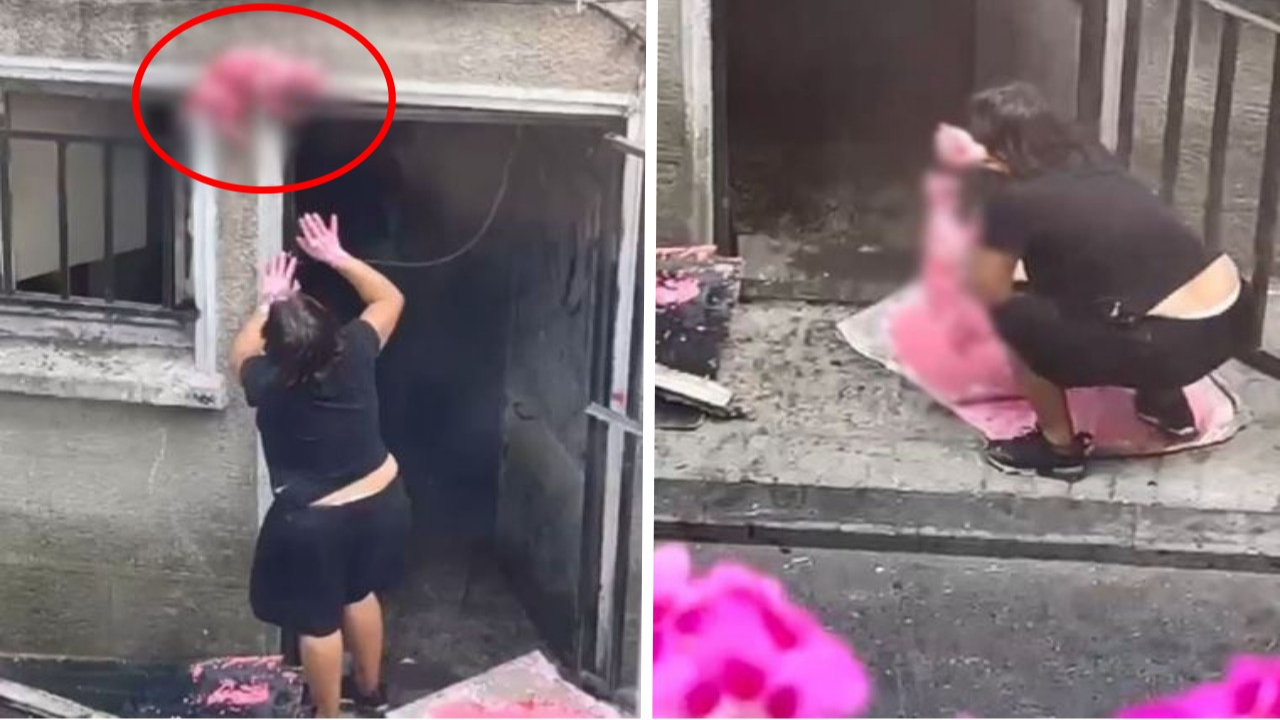 Böyle vicdansızlık görülmedi! Ölü kediyi boyayıp pencereye astı!