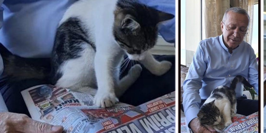 Cumhurbaşkanı Erdoğan torununun kedisiyle olan fotoğrafını paylaştı