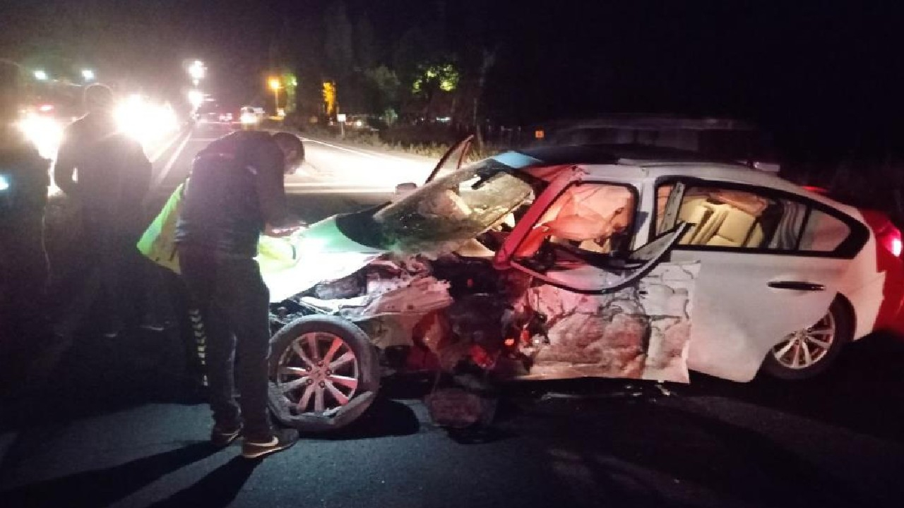 Yola çıkan domuz sürüsü kazaya neden oldu: 6 yaralı