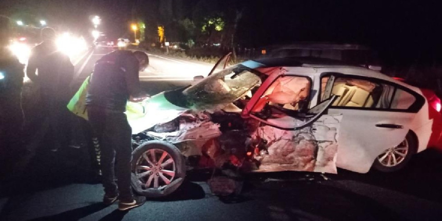 Yola çıkan domuz sürüsü kazaya neden oldu: 6 yaralı