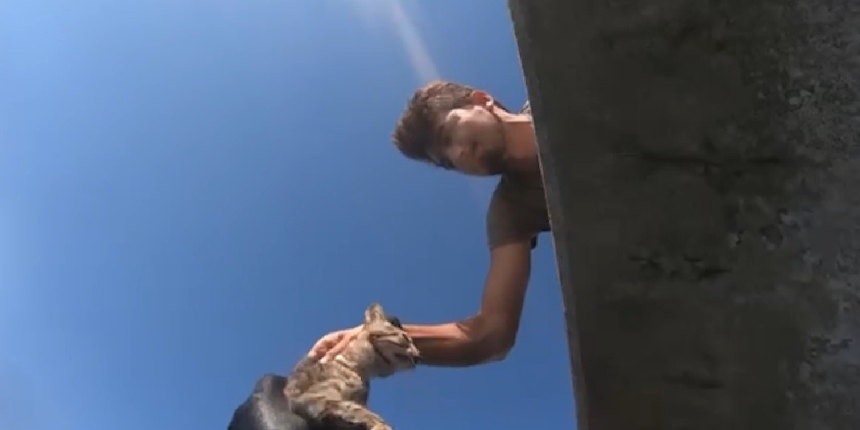 Kedi iskelenin altında mahsur kaldı, Sahil Güvenlik kurtardı