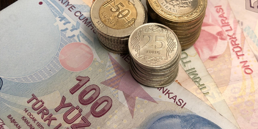 Paralar Hesaplara Ödenmeye Başladı! TC Kimlik Numaranızla Kontrol Edebilirsiniz