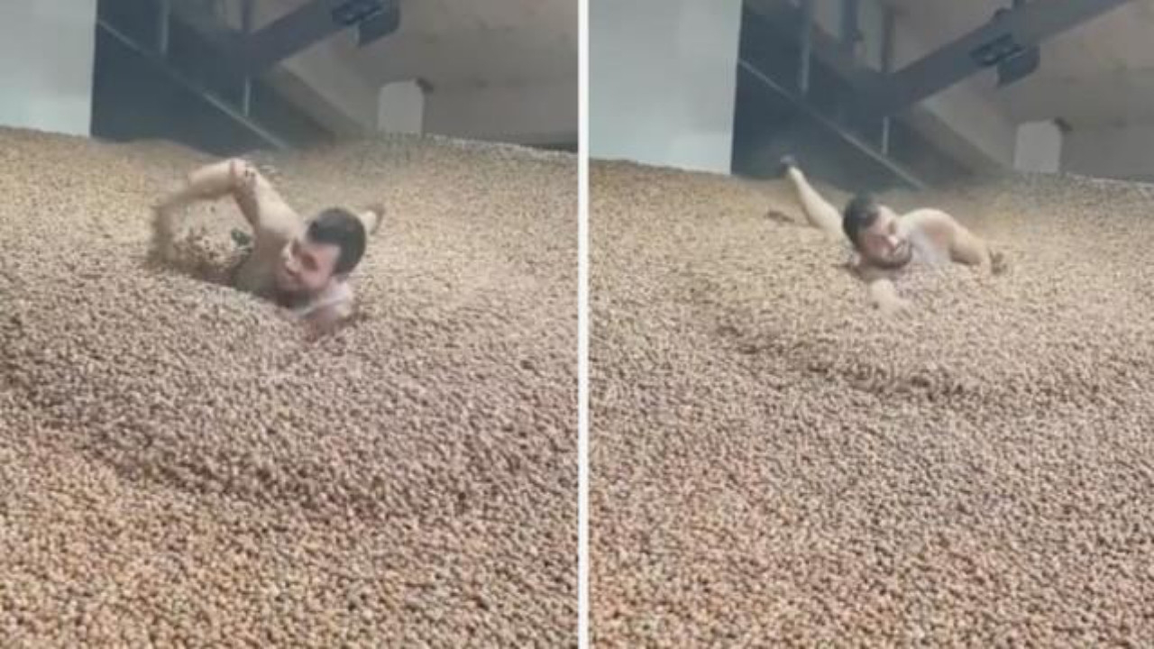 Fındıkların içinde kulaç ata ata yüzdü! İşte milyonlarca kez izlenen TikTok videosu...