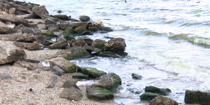 Uzmanlar "Müsilajdan daha tehlikeli" diyerek uyardı: Marmara'da ciddi sıkıntılara neden olabilir