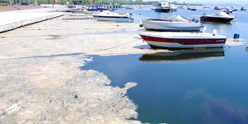 Marmara Denizi'nin müsilajdan kurtarılması için yeni öneri: Maliyeti yaklaşık 80 milyon euro